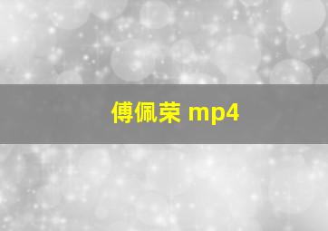 傅佩荣 mp4